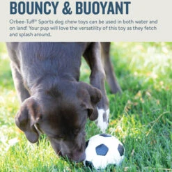 Planet Dog Orbee-Tuff Soccer Ball -Online Haustier Lieferungen prod 14590 203615 0500 none