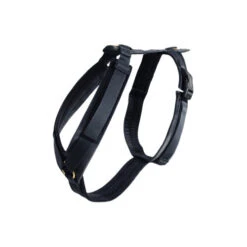 Kentucky Dog Harness Active Velvet -Online Haustier Lieferungen prod 15744 218993 0500 none