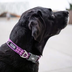 DOG Copenhagen Urban Style Halsband -Online Haustier Lieferungen prod 15937 220286 0500 none