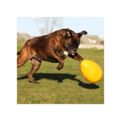 Jolly Egg -Online Haustier Lieferungen product jolly egg none 4 1496839893 86965