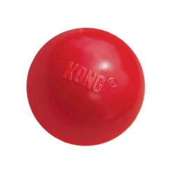KONG Ball -Online Haustier Lieferungen product kong ball none 4 1466058812 69915