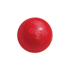 KONG Ball -Online Haustier Lieferungen product kong ball none 4 1466058813 69918