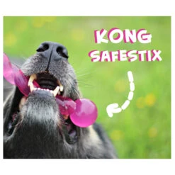 KONG Safestix -Online Haustier Lieferungen product kong safestix none 4 1458633926 66969