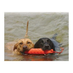 KONG Training Dummy -Online Haustier Lieferungen product kong training dummy none 4 1469627104 71971