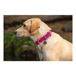 Ruffwear Headwater Collar -Online Haustier Lieferungen product ruffwear headwater collar none 4 1487775433 83755