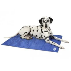 Scruffs Cooling Mat -Online Haustier Lieferungen product scruffs cooling mat none 4 1472200004 76951