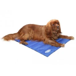 Scruffs Cooling Mat -Online Haustier Lieferungen product scruffs cooling mat none 4 1472200005 76954