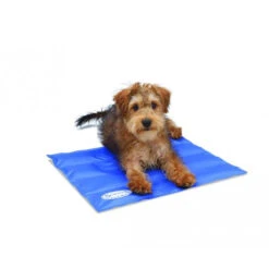 Scruffs Cooling Mat -Online Haustier Lieferungen product scruffs cooling mat none 4 1472200006 76957