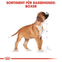 Royal Canin Boxer Puppy - Hundefutter -Online Haustier Lieferungen royal canin boxer puppy hondenvoer 137491 0500 none