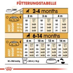 Royal Canin Boxer Puppy - Hundefutter -Online Haustier Lieferungen royal canin boxer puppy hondenvoer 137500 0500 none