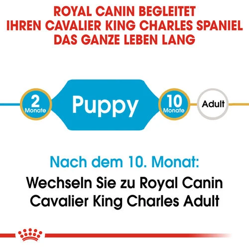 Royal Canin Cavalier King Charles Puppy - Hundefutter 6 Royal Canin Cavalier King Charles Puppy - Hundefutter – Bild 6