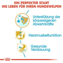 Royal Canin Cavalier King Charles Puppy - Hundefutter 10 Royal Canin Cavalier King Charles Puppy - Hundefutter -Online Haustier Lieferungen royal canin cavalier king charles puppy hondenvoer 137923 0500 none