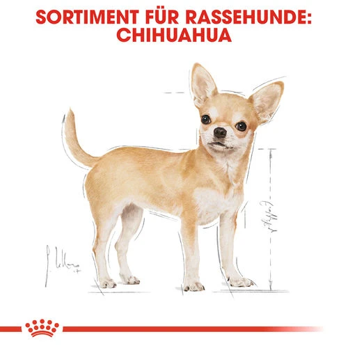 Royal Canin Chihuahua Adult - Hundefutter 4 Royal Canin Chihuahua Adult - Hundefutter – Bild 4
