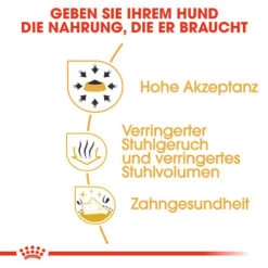 Online Haustier Lieferungen -Online Haustier Lieferungen royal canin chihuahua adult hondenvoer 137980 0500 none