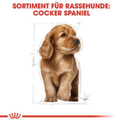 Royal Canin Cocker Puppy - Hundefutter -Online Haustier Lieferungen royal canin cocker puppy hondenvoer 138226 0500 none