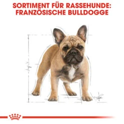 Royal Canin French Bulldog Adult - Hundefutter -Online Haustier Lieferungen royal canin french bulldog adult hondenvoer 138622 0500 none