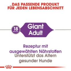 Royal Canin Giant Adult - Hundefutter 10 Royal Canin Giant Adult - Hundefutter -Online Haustier Lieferungen royal canin giant adult hondenvoer 128384 0500 none