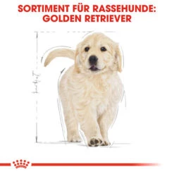 Royal Canin Golden Retriever Puppy - Hundefutter -Online Haustier Lieferungen royal canin golden retriever puppy hondenvoer 138958 0500 none