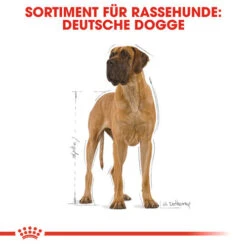 Royal Canin Great Dane Adult - Hundefutter -Online Haustier Lieferungen royal canin great dane adult hondenvoer 138994 0500 none