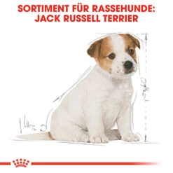 Royal Canin Jack Russell Terrier Puppy - Hundefutter -Online Haustier Lieferungen royal canin jack russell terrier puppy hondenvoer 139318 0500 none