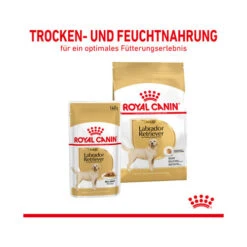 Royal Canin Labrador Retriever Adult Wet -Online Haustier Lieferungen royal canin labrador retriever adult wet 165769 0500 none