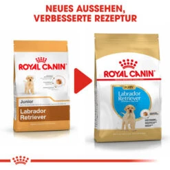 Royal Canin Labrador Retriever Puppy - Hundefutter -Online Haustier Lieferungen royal canin labrador retriever puppy hondenvoer 139456 0500 none