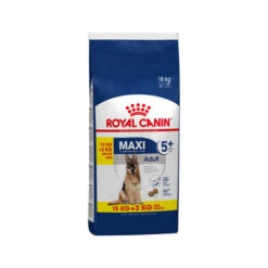 Royal Canin Maxi Adult 5+ - Hundefutter -Online Haustier Lieferungen royal canin maxi adult 5 hondenvoer 144494 0500 none