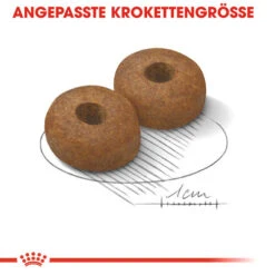 Royal Canin Maxi Ageing 8+ - Hundefutter -Online Haustier Lieferungen royal canin maxi ageing 8 hondenvoer 128714 0500 none