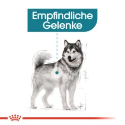 Royal Canin Maxi Joint Care - Hundefutter -Online Haustier Lieferungen royal canin maxi joint care hondenvoer 132533 0500 none