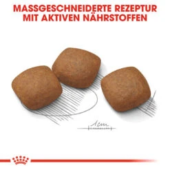 Royal Canin Maxi Joint Care - Hundefutter -Online Haustier Lieferungen royal canin maxi joint care hondenvoer 132551 0500 none