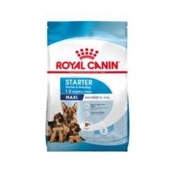 Royal Canin Maxi Starter Mother & Babydog - Hundefutter -Online Haustier Lieferungen royal canin maxi starter mother babydog hondenvoer 206831 0500 none