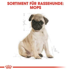 Royal Canin Pug Puppy - Hundefutter -Online Haustier Lieferungen royal canin pug puppy hondenvoer 139885 0500 none