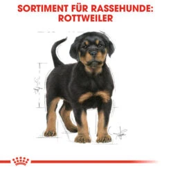 Royal Canin Rottweiler Puppy - Hundefutter 11 Royal Canin Rottweiler Puppy - Hundefutter -Online Haustier Lieferungen royal canin rottweiler puppy hondenvoer 140029 0500 none