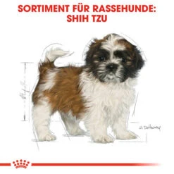 Royal Canin Shih Tzu Puppy - Hundefutter -Online Haustier Lieferungen royal canin shih tzu junior hondenvoer 140411 0500 none