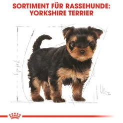 Royal Canin Yorkshire Terrier Puppy - Hundefutter -Online Haustier Lieferungen royal canin yorkshire terrier puppy hondenvoer 140804 0500 none
