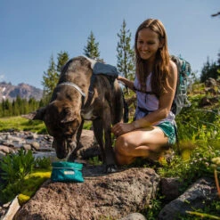 Ruffwear Flat Out Dog Collar - Blue Horizon -Online Haustier Lieferungen ruffwear flat out dog collar blue horizon 204839 0500 none