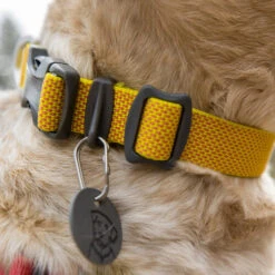 Ruffwear Hi & Light Halsband -Online Haustier Lieferungen ruffwear hi light collar 194258 0500 none