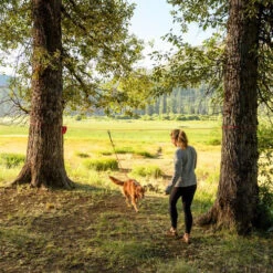 Ruffwear Knot-a-Hitch -Online Haustier Lieferungen ruffwear knot a hitch 124643 0500 none