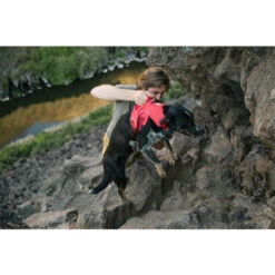 Ruffwear Webmaster Harness -Online Haustier Lieferungen ruffwear webmaster harness 204671 0500 none