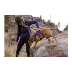 Ruffwear Webmaster Harness -Online Haustier Lieferungen ruffwear webmaster harness 217109 0500 none