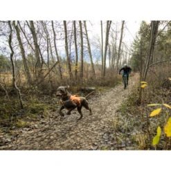 Ruffwear Webmaster Harness -Online Haustier Lieferungen ruffwear webmaster harness 217113 0500 none