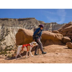 Ruffwear Webmaster Harness -Online Haustier Lieferungen ruffwear webmaster harness 217118 0500 none