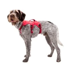 Ruffwear Webmaster Harness -Online Haustier Lieferungen ruffwear webmaster harness 88447 0500 none