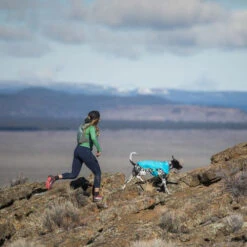 Ruffwear Wind Sprinter Jacket -Online Haustier Lieferungen ruffwear wind sprinter jacket 124694 0500 none