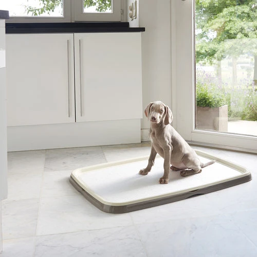 Savic Puppy Trainer + Pads 5 Savic Puppy Trainer + Pads – Bild 5