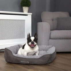 Scruffs Cosy Box Bett -Online Haustier Lieferungen scruffs cosy box bed 209468 0500 none