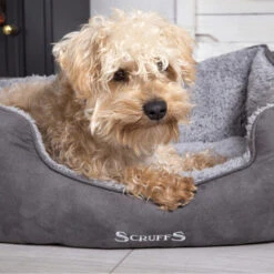 Scruffs Cosy Box Bett -Online Haustier Lieferungen scruffs cosy box bed 209483 0500 none