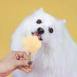 Smoofl Hundeeis Starter Kit -Online Haustier Lieferungen smoofl dog ice starter kit 195155 0500 none