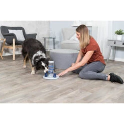 Trixie Dog Activity Gambling Tower -Online Haustier Lieferungen trixie dog activity gambling tower 179852 0500 none