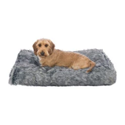 Trixie Kissen Yelina -Online Haustier Lieferungen trixie kussen yelina 216146 0500 none